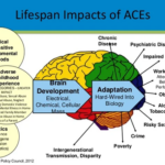 Blijvende impact op gezondheid na vroeg trauma