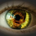 Vroege traumatisering; hoge economische kosten